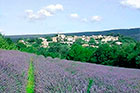 Paradis en Provence - Aix en Provence