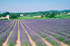 Paradis en Provence - Aix en Provence